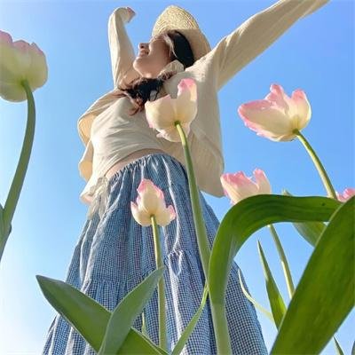 琼楼春梦电影海报